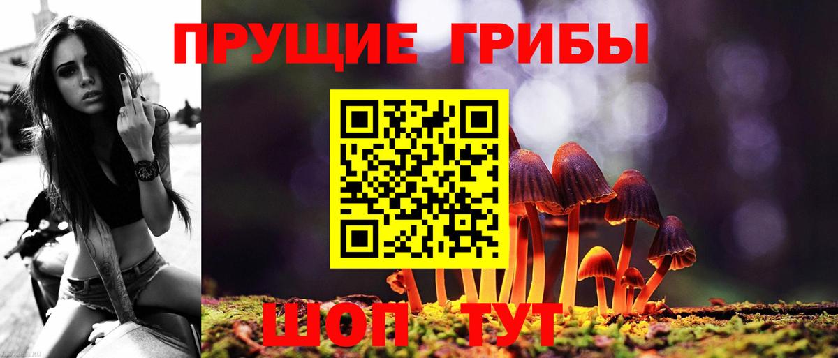 Аша  купить закладку  Вход с VPN  Псилоцибиновые грибы GOLDEN TEACHER  Галлюциногенные грибы ЛСД 